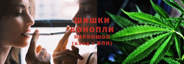 винт Гусев