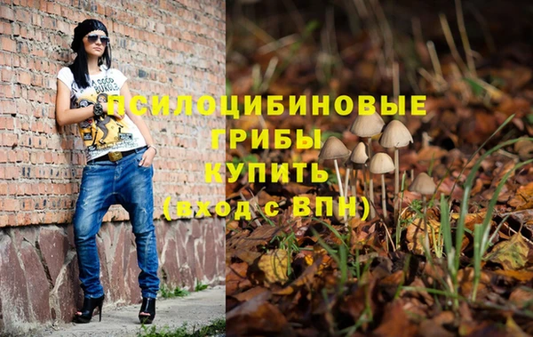 Альфа ПВП Алексеевка