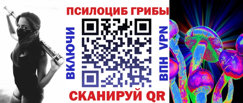 MEGA ССЫЛКА  Андреаполь  Псилоцибиновые грибы Psilocybe 