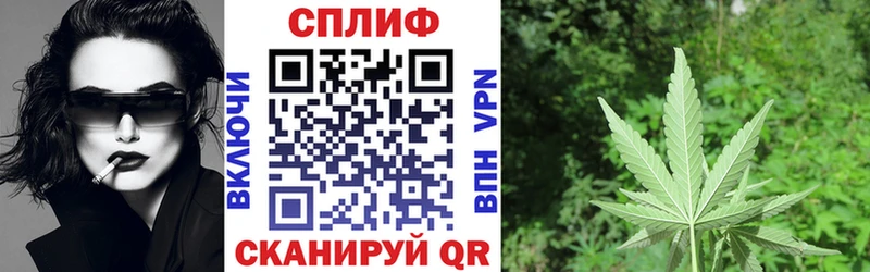 Бошки Шишки конопля  Андреаполь 